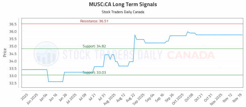Stock Chart for MUSC:CA