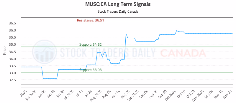 Stock Chart for MUSC:CA