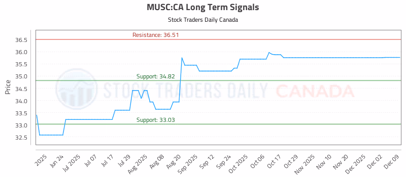 Stock Chart for MUSC:CA