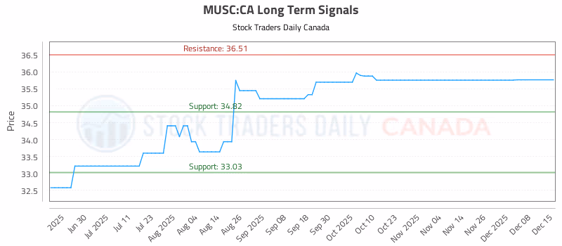 Stock Chart for MUSC:CA
