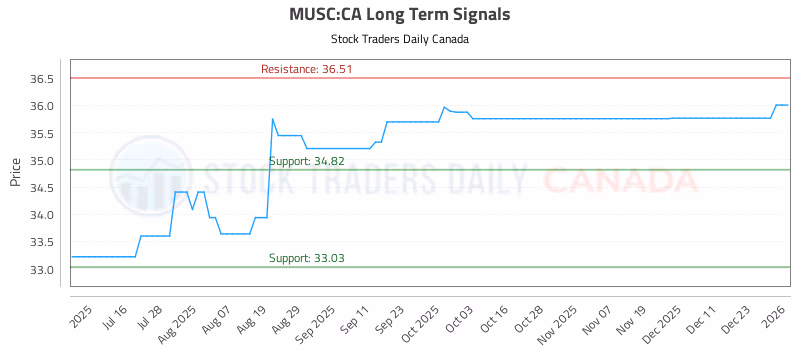Stock Chart for MUSC:CA