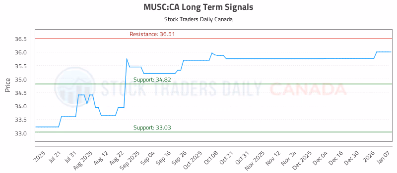 Stock Chart for MUSC:CA
