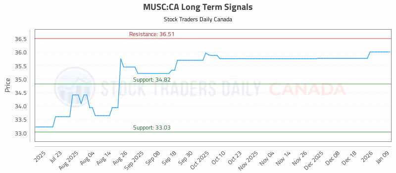 Stock Chart for MUSC:CA