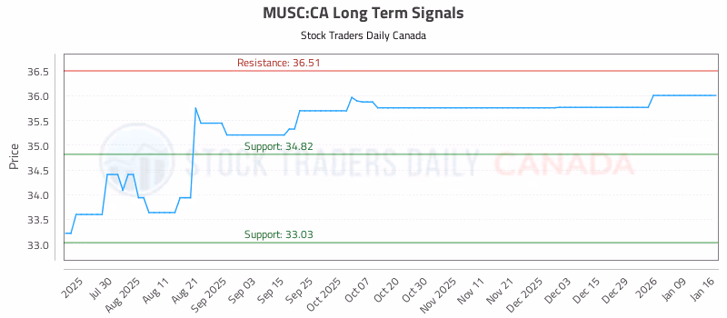 Stock Chart for MUSC:CA