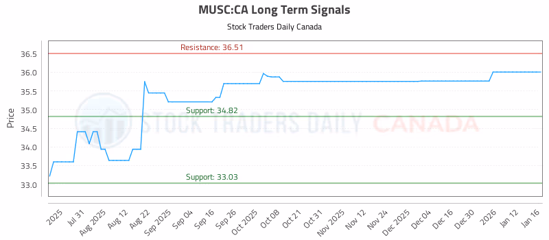 Stock Chart for MUSC:CA