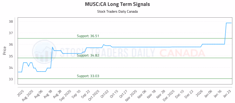 Stock Chart for MUSC:CA