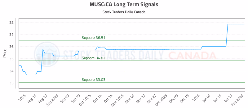 Stock Chart for MUSC:CA