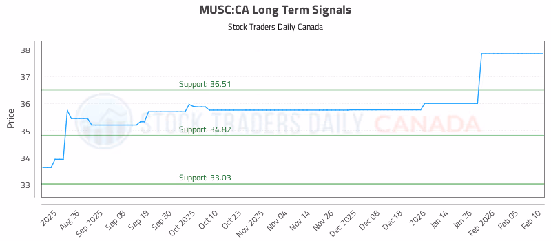 Stock Chart for MUSC:CA