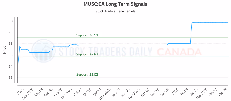 Stock Chart for MUSC:CA