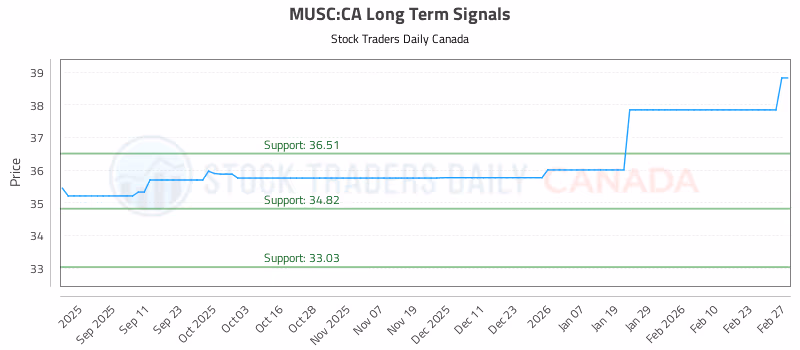 Stock Chart for MUSC:CA