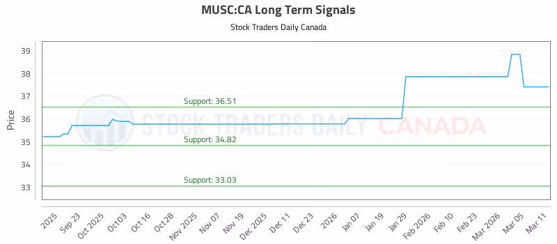 Stock Chart for MUSC:CA