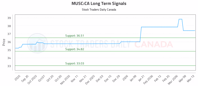 Stock Chart for MUSC:CA