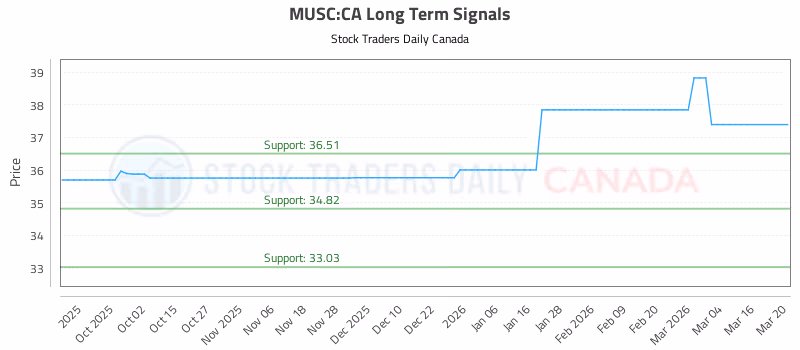 Stock Chart for MUSC:CA
