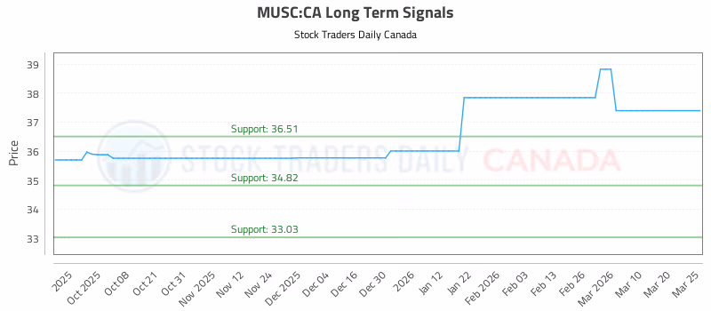Stock Chart for MUSC:CA