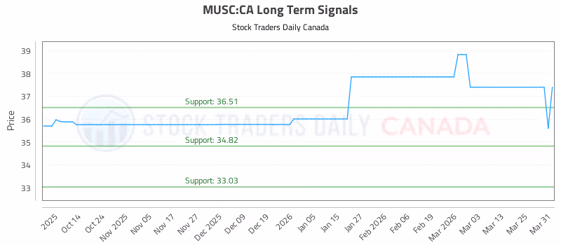 Stock Chart for MUSC:CA