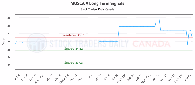Stock Chart for MUSC:CA
