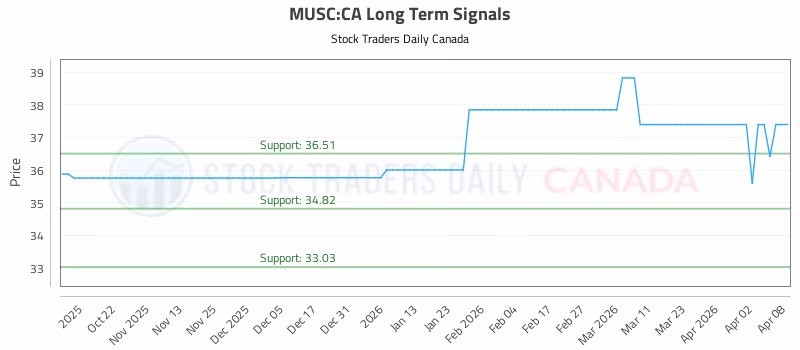 Stock Chart for MUSC:CA