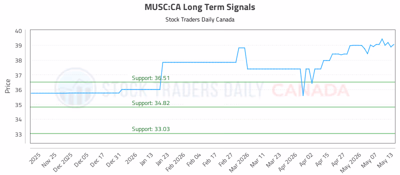 Stock Chart for MUSC:CA
