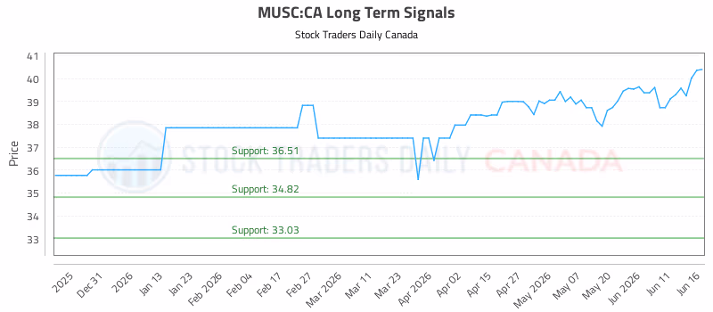 Stock Chart for MUSC:CA