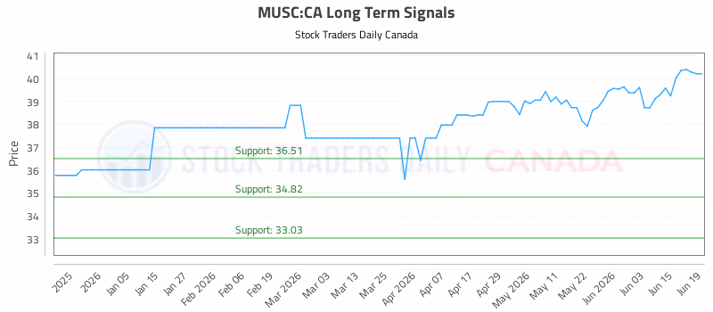 Stock Chart for MUSC:CA