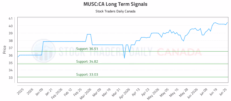 Stock Chart for MUSC:CA