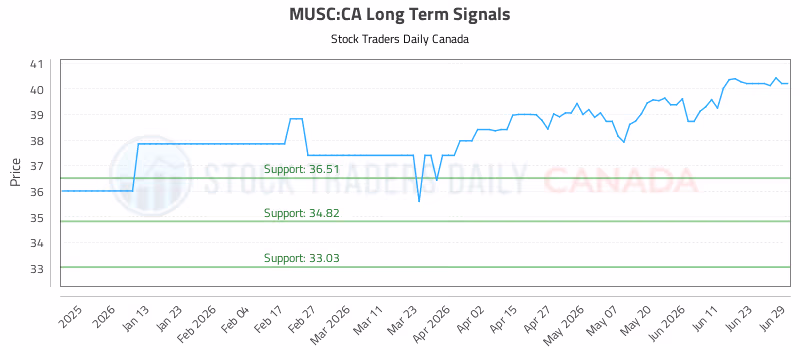 Stock Chart for MUSC:CA