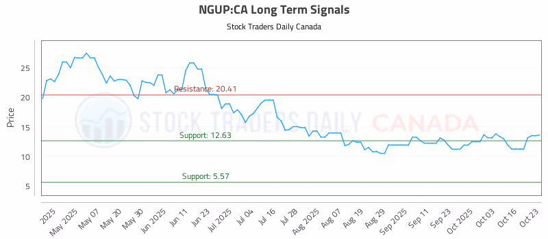 Stock Chart for NGUP:CA