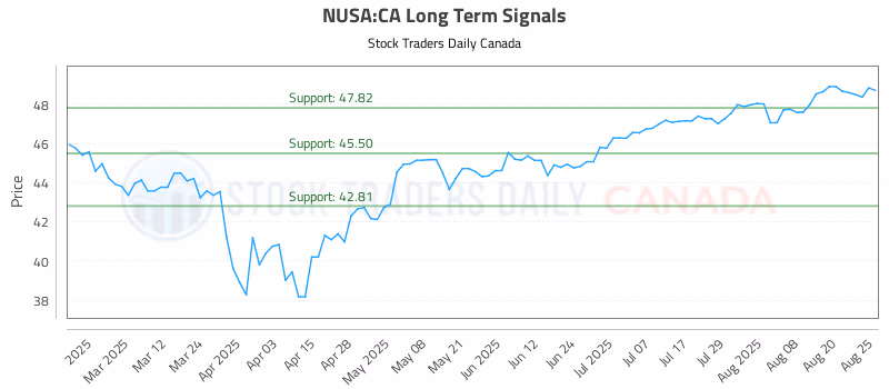 Stock Chart for NUSA:CA