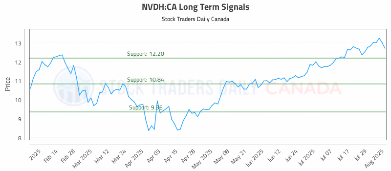 Stock Chart for NVDH:CA