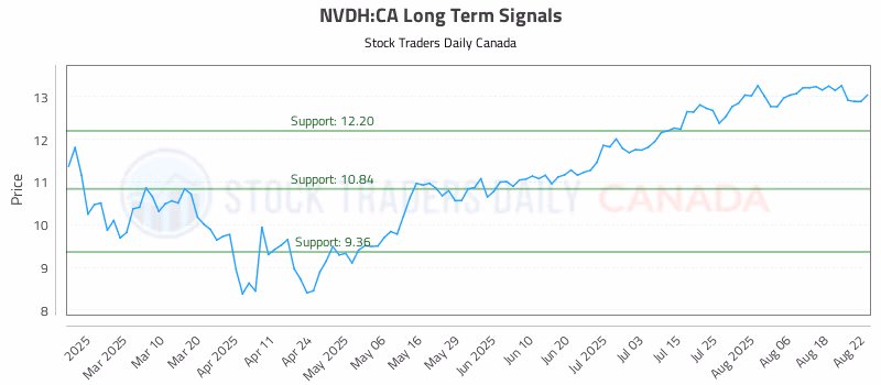 Stock Chart for NVDH:CA