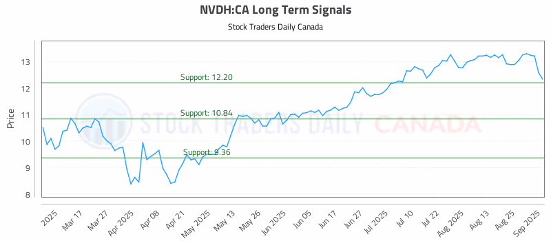 Stock Chart for NVDH:CA