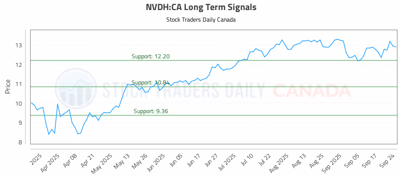 Stock Chart for NVDH:CA