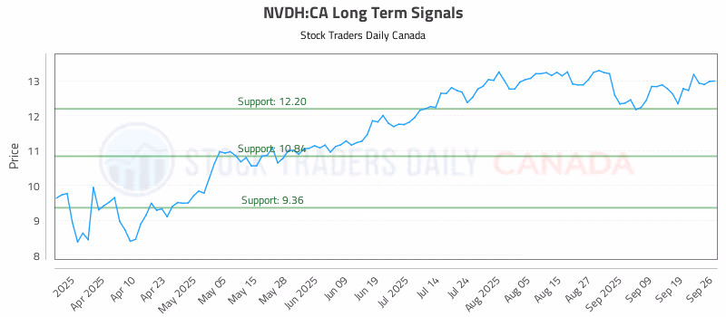 Stock Chart for NVDH:CA
