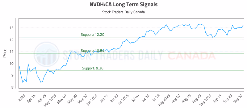 Stock Chart for NVDH:CA