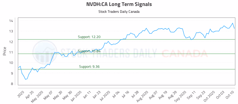 Stock Chart for NVDH:CA