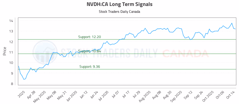 Stock Chart for NVDH:CA