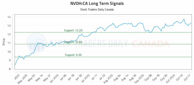 Stock Chart for NVDH:CA