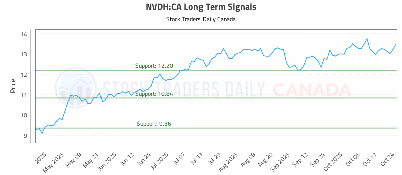 Stock Chart for NVDH:CA