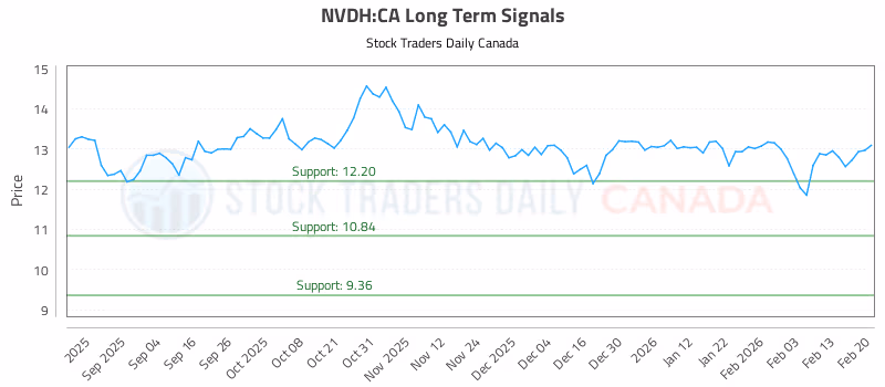 Stock Chart for NVDH:CA