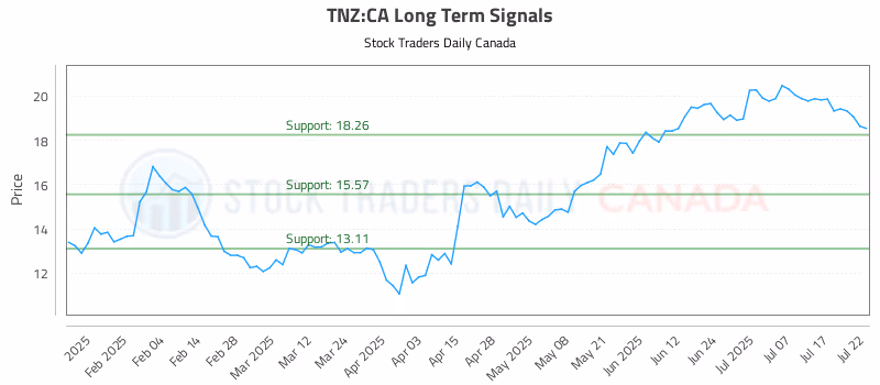 Stock Chart for TNZ:CA