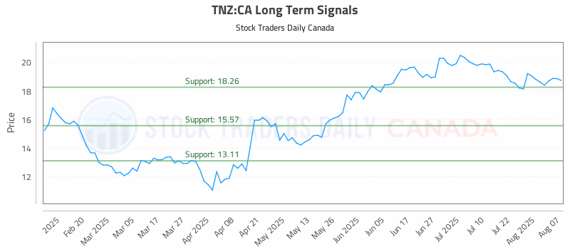 Stock Chart for TNZ:CA
