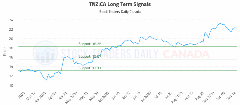 Stock Chart for TNZ:CA