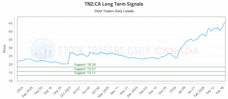 Stock Chart for TNZ:CA