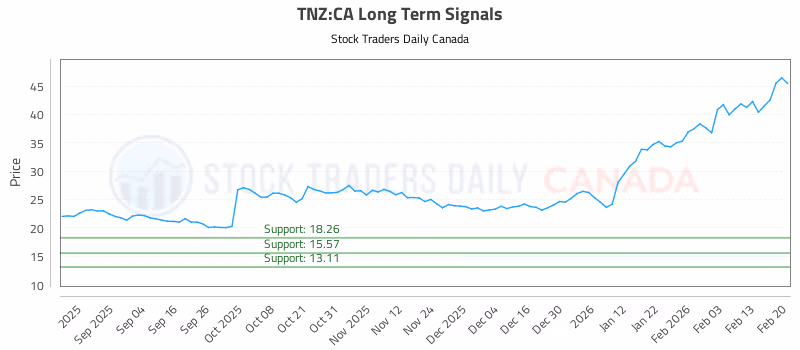 Stock Chart for TNZ:CA