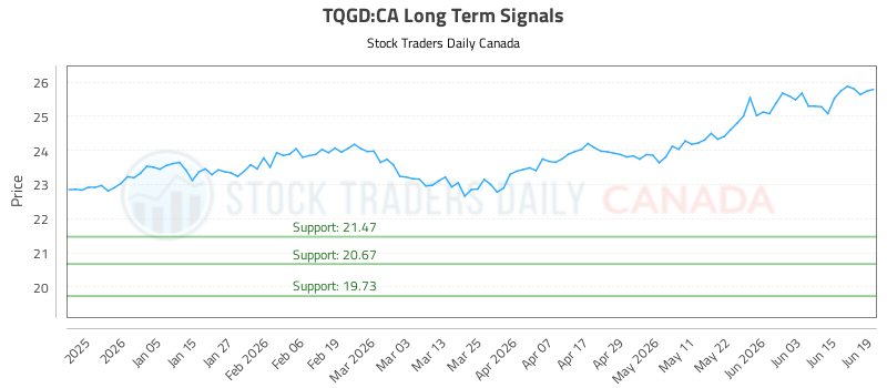 tqgd-long-term-investment-analysis