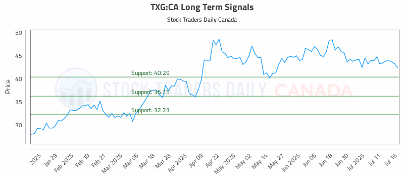Stock Chart for TXG:CA
