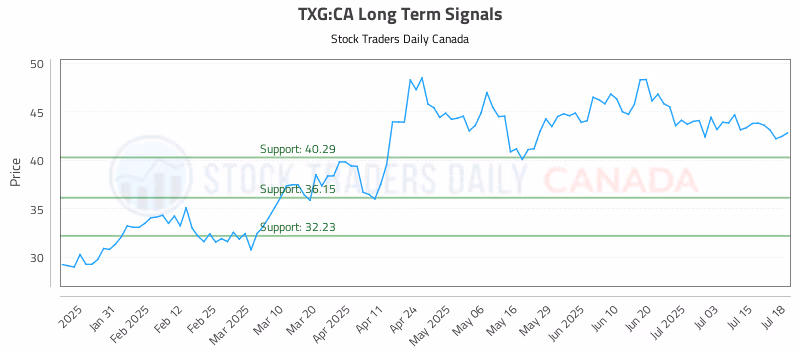 Stock Chart for TXG:CA