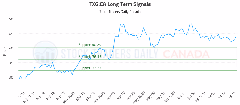 Stock Chart for TXG:CA