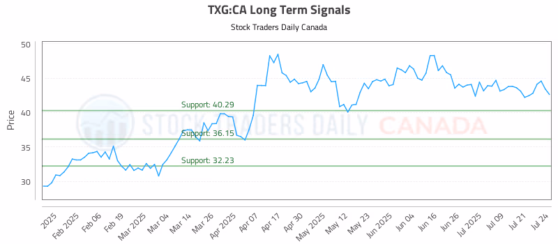 Stock Chart for TXG:CA