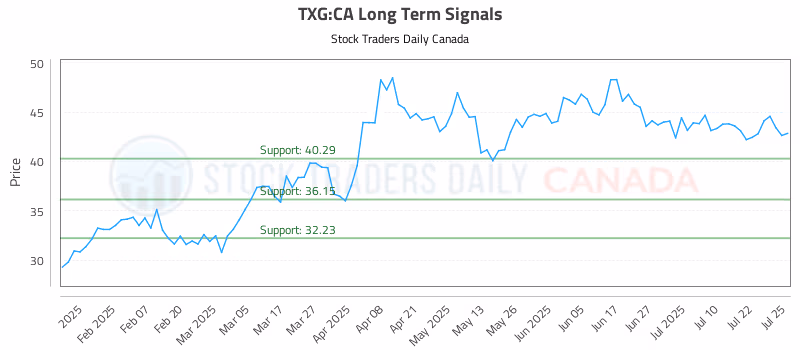Stock Chart for TXG:CA